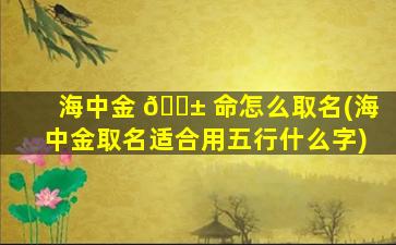 海中金 🐱 命怎么取名(海中金取名适合用五行什么字)
